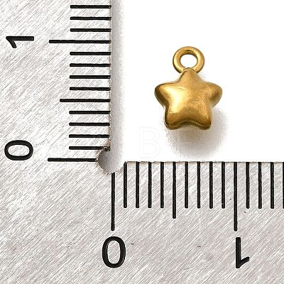 304 Stainless Steel Charms X-STAS-D310-06G-05-1