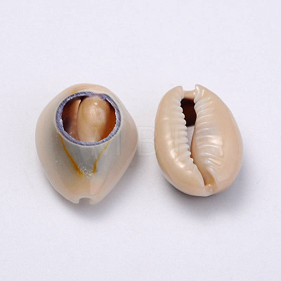 Natural Cowrie Shell Beads BSHE-Q295-4-1