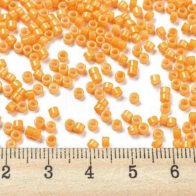 Baking Paint Glass Seed Beads SEED-S042-05A-30-1