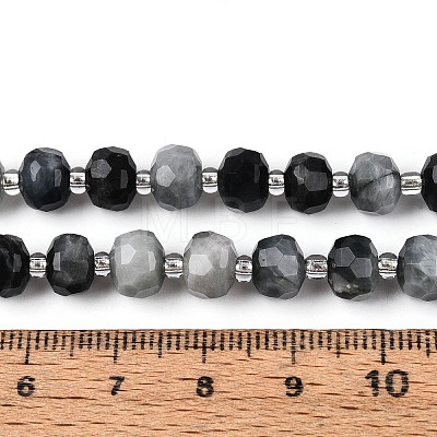Natural Eagle Eye Stone Beads Strands G-N327-08A-02-1