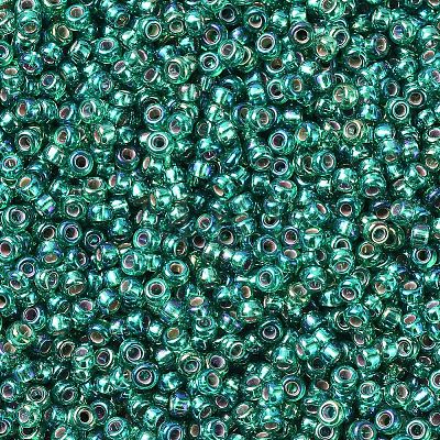 MIYUKI Round Rocailles Beads X-SEED-G007-RR1017-1
