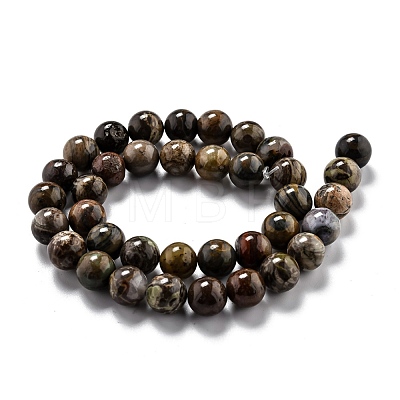 Round Natural Ocean Agate/Ocean Jasper Beads Strands G-L574-02C-1