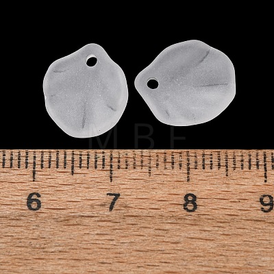 Frosted Acrylic Pendants AC-CBA1E6C-05-1