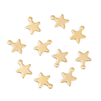 304 Stainless Steel Charms STAS-G190-27G-B-1
