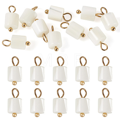 10Pcs Natural Shell Column Charms SHEL-TA0001-38-1