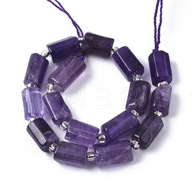 Natural Amethyst Beads Strands G-S345-8x11-004-1