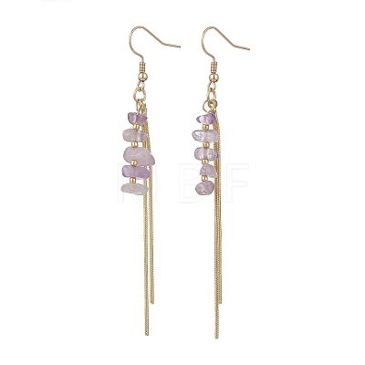 Natural Amethyst Dangle Earrings EJEW-JE06712-02-1
