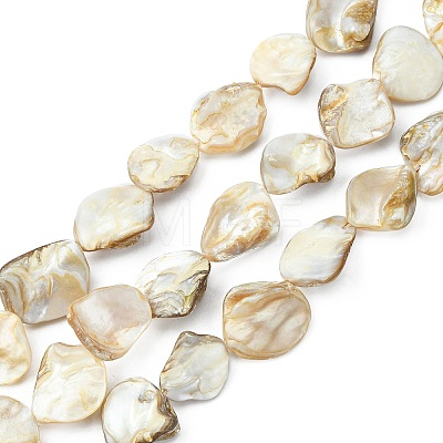 Handmade Natural Shell Beads Strands X-PBB471-1-1