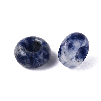 Natural Blue Spot Jasper European Beads G-Q602-04L-1