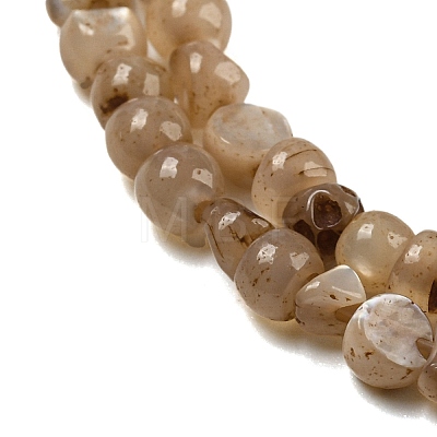 Natural White Shell Dyed Beads Strands BSHE-Z005-03A-1