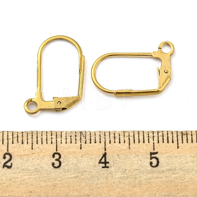 Ion Plating(IP) 304 Stainless Steel Leverback Earring Findings LS-STAS-P360-02B-G-1