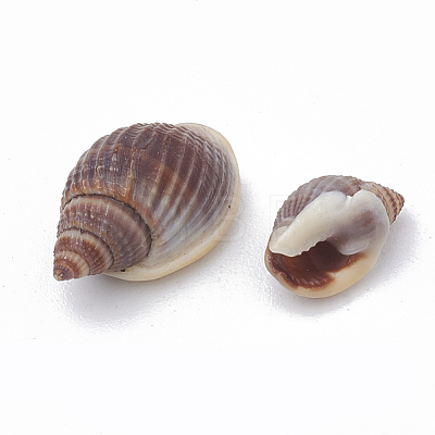 Sea Shell Beads SSHEL-S258-02-1