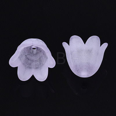 Transparent Acrylic Bead Caps X-FACR-N005-002F-1