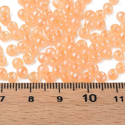 6/0 Imitation Jade Glass Seed Beads SEED-N004-006-24-1