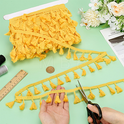 Polyester Tassel Ribbon OCOR-PH0036-22E-1