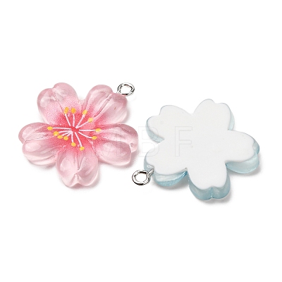 Transparent Resin Pendants RESI-K053-02-1