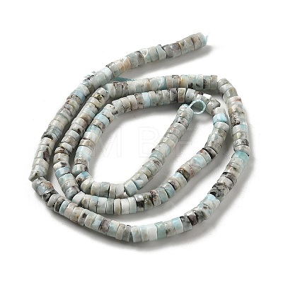 Natural Larimar Beads Strands G-Q024-B03-01-1