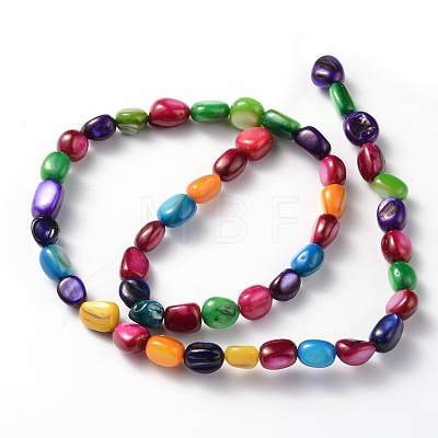Natural Shell Beads Strands BSHE-D004-7-1