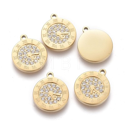 316 Surgical Stainless Steel Micro Pave Clear Cubic Zirconia Charms STAS-H100-54G-1