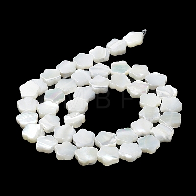 Natural Trochus Shell Beads Strands BSHE-P033-07-1