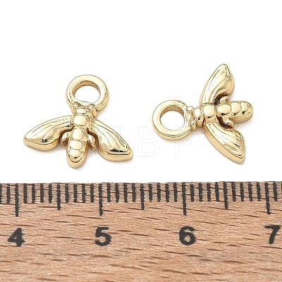 304 Stainless Steel Charms SA-CBA3037-16G-1