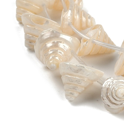 Natural Shell Beads Strands SHEL-K009-11-1