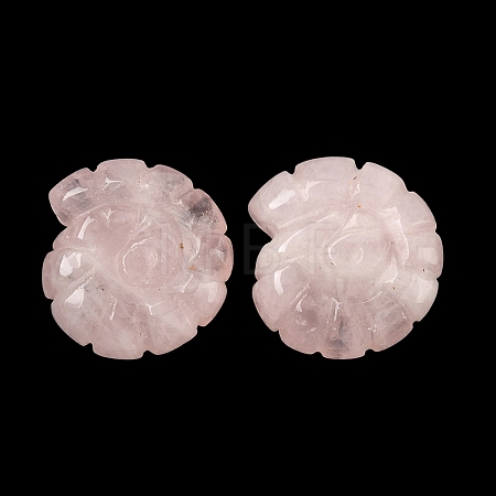 Natural Rose Quartz Conch Display Decorations DJEW-D303-01F-1