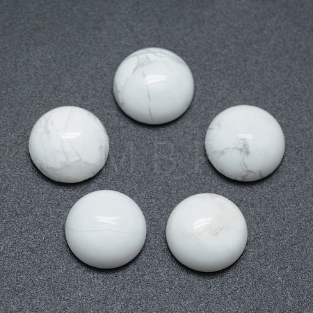 Natural Howlite Cabochons G-P393-R32-8MM-1