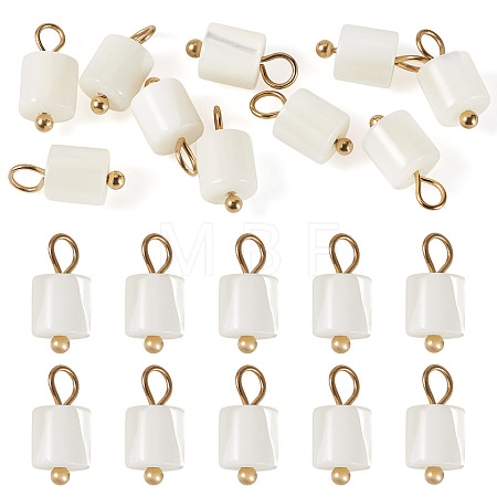 10Pcs Natural Shell Column Charms SHEL-TA0001-38-1
