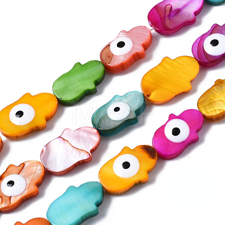 Natural Freshwater Shell Beads Strands SHEL-S278-013-1
