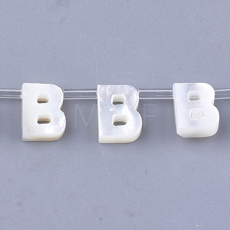 Sea Shell Beads X-SHEL-T012-60B-1