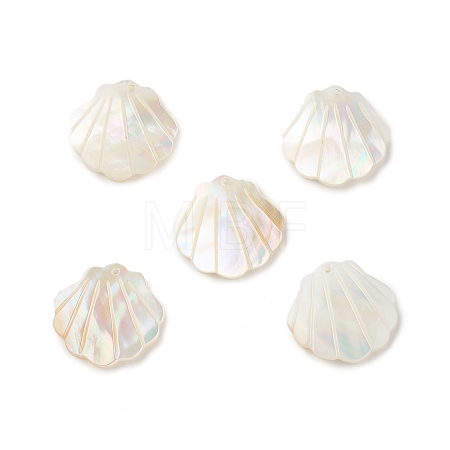 Natural Sea Shell Pendants SSHEL-T012-11-1