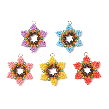 Glass Seed Beaded Pendants PALLOY-MZ01241-1
