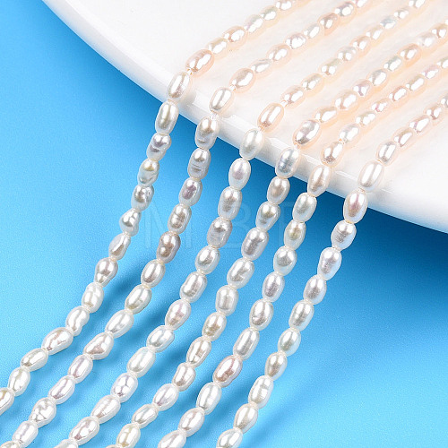 Natural Cultured Freshwater Pearl Beads Strands PEAR-N012-02K-1