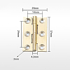 Brass Hinge CABI-PW0001-163-A01-1