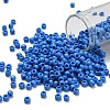 TOHO 6/0 Round Beads SEED-TR06-0043D-1
