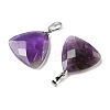 Natural Amethyst Pendants G-L614-D04-P01-2