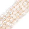 Natural Cultured Freshwater Pearl Beads Strands PEAR-P064-20I-02A-02-2