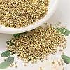 MIYUKI Delica Beads X-SEED-J020-DB0034-1
