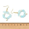 Natural Gemstone Beaded Dangle Earrings EJEW-JE07215-6