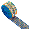 Ethnic Style Embroidery Flat Nylon Elastic Rubber Cord/Band OCOR-CA0001-08-1