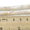 Natural Freshwater Shell Beads Strands SHEL-H004-02-4