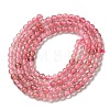 Natural Strawberry Quartz Beads Strands G-B090-A26-03-3