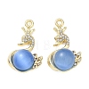 Alloy Rhinestone Pendants FIND-D044-22G-02-1