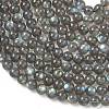 Natural Labradorite Beads Strands G-L654-O02-6mm-4