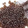 TOHO Round Seed Beads SEED-JPTR08-0114-1