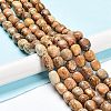 Natural Picture Jasper Beads Strands G-C038-02B-2