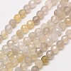 Natural Botswana Agate Beads Strands G-A129-3mm-18-1