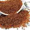 12/0 Glass Seed Beads X-SEED-A005-2mm-22C-1