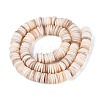 Natural Freshwater Shell Beads Strands SHEL-N037-03A-01-2